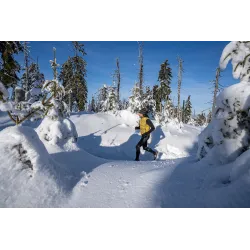 Męski Bezrękawnik Taiga Polartec Alpha – Gold