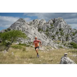 Koszulka męska Merino Denali – ORANGE